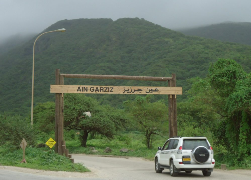 places to visit in oman salalah