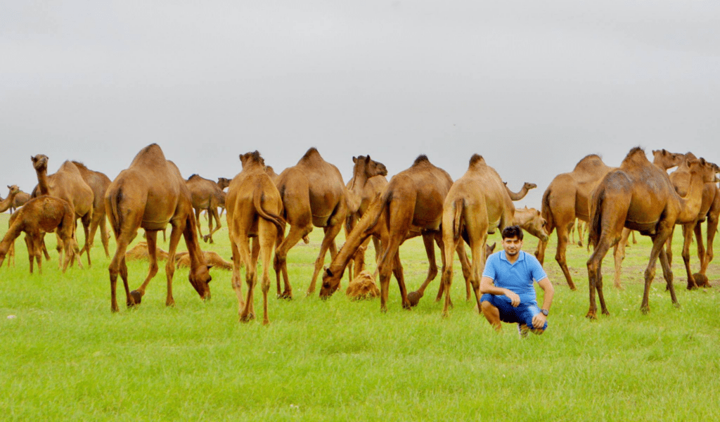 places to visit in oman salalah